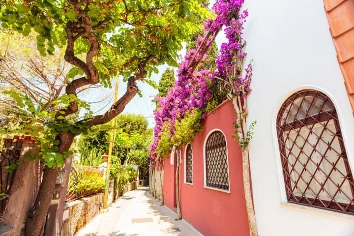 Capri by Private Yacht, Day Trip from Rome