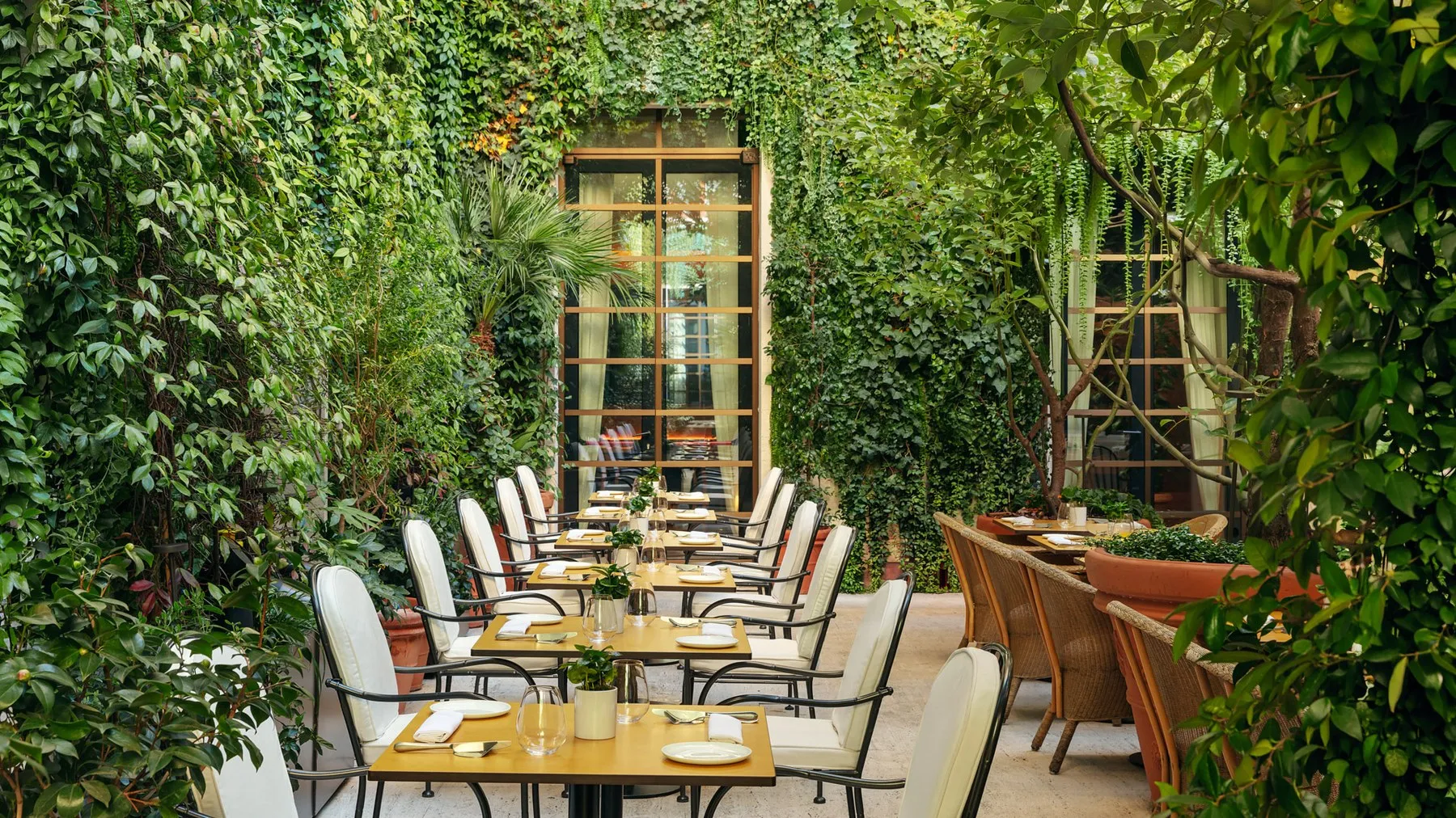 The courtyard at Anima, tables laid under walls covered in ivy and climbing plants