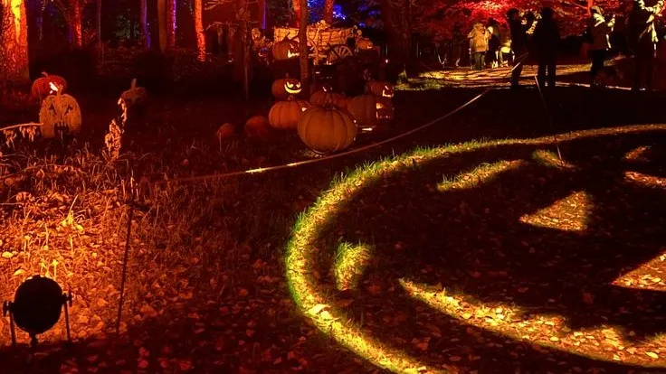 Jack-o'-lanterns and a glowing pumpkin face projected on the ground in a wood lit red at night